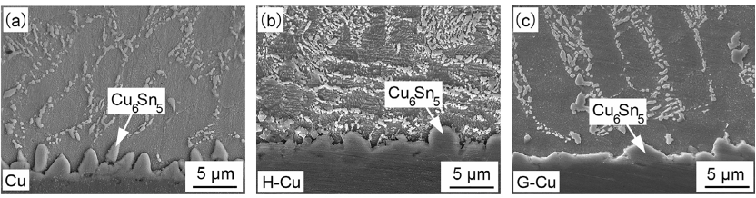 SAC305和Cu基板的界面IMC。