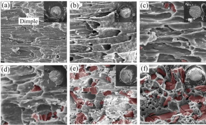 焊點(diǎn)陰極側(cè)(上)和陽極側(cè)(下)剪切失效圖