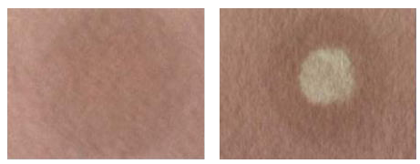 1699427204174665.png 1699427204174665.png